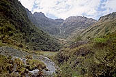 Along the Inca trail we pass through the highest cloud forest in Peru